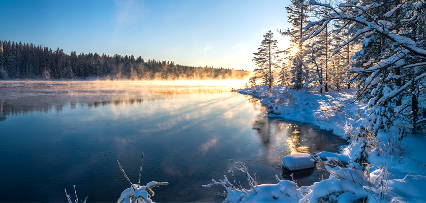 Våra öppettider under julledigheten